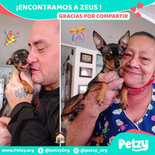 Foto de mascota Zeus 