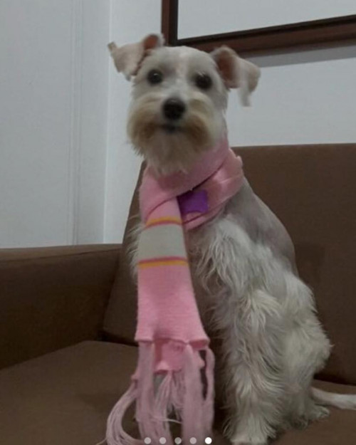 Lulu
