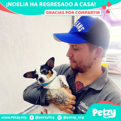 Foto de mascota Noelia 