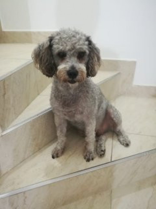 Tobby