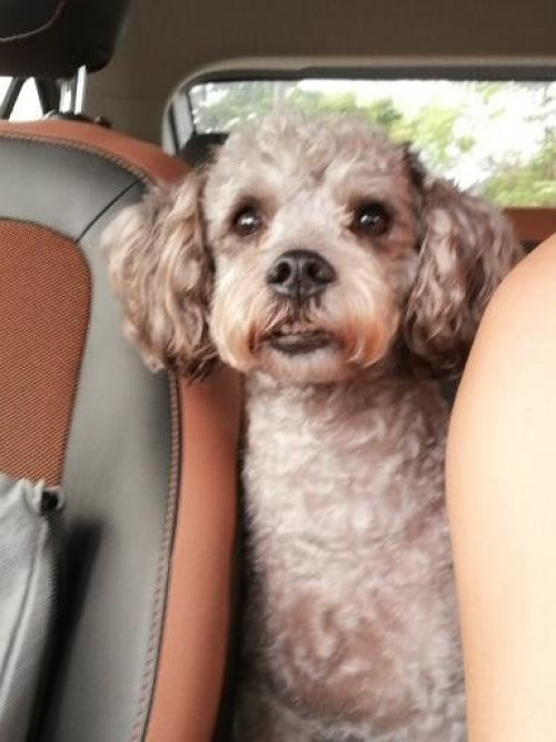 Tobby