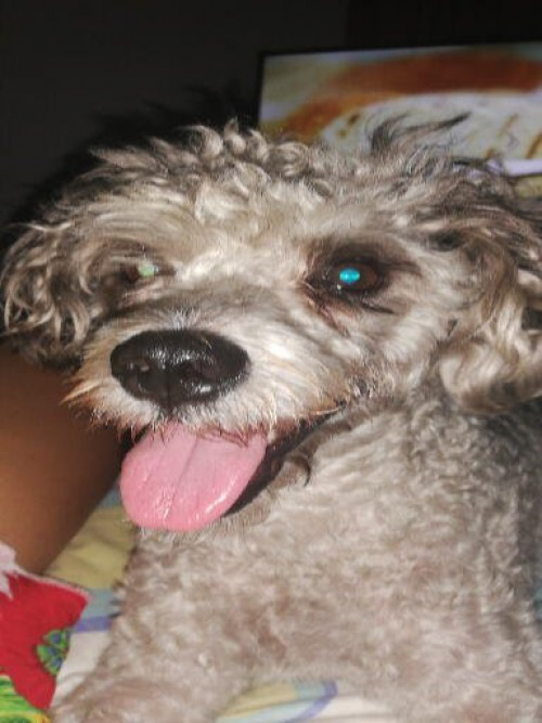 Tobby