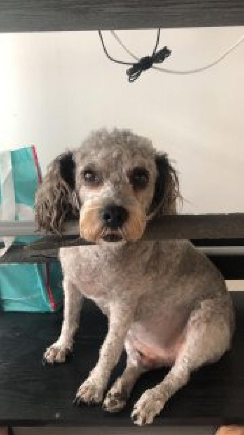 Tobby