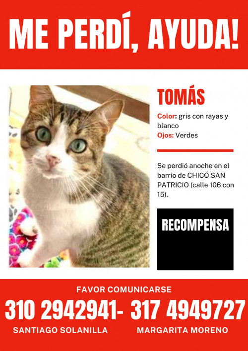 Tomás