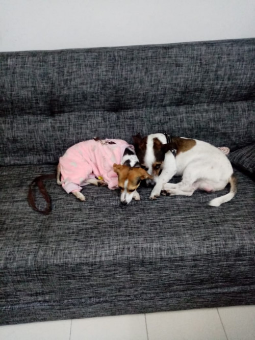 Mia Y Max