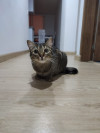 Foto de Lulu en Tunja Boyacá #4