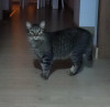 Foto de Lulu en Tunja Boyacá #2