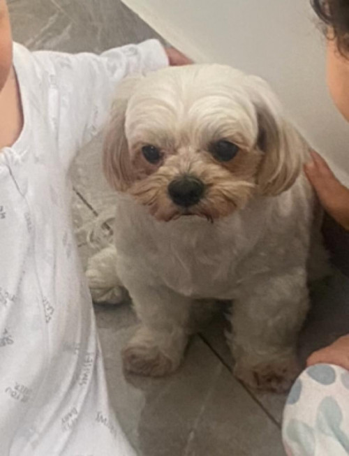 Coby