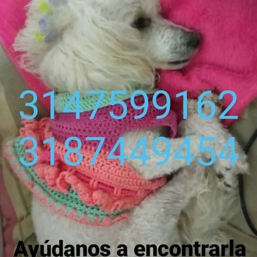  Luly