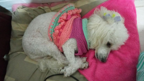  Luly