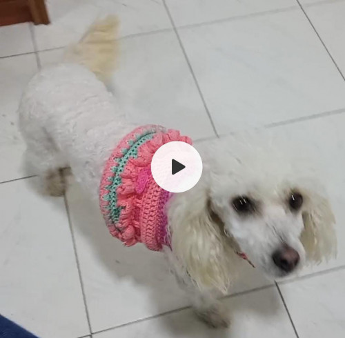  Luly