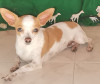 Foto de Minnie en Villavicencio Meta #3