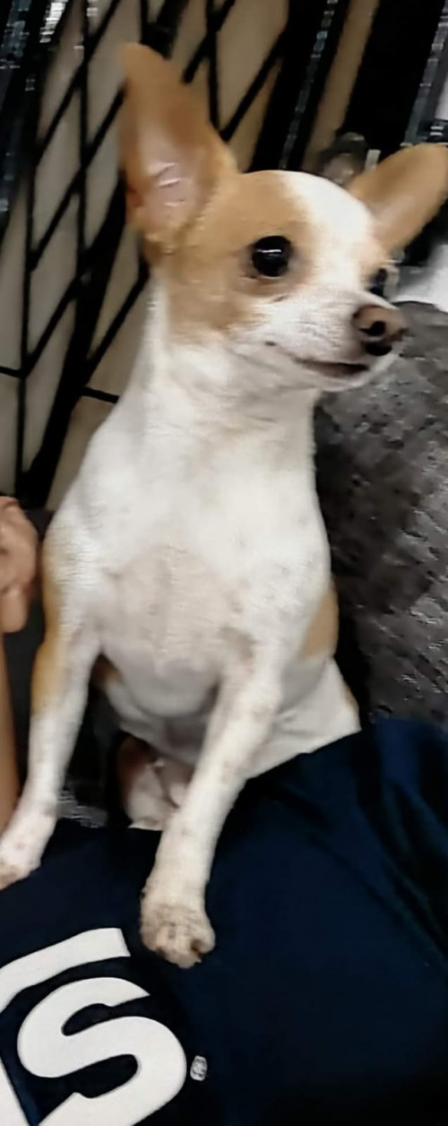 Minnie