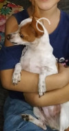 Foto de Minnie en Villavicencio Meta #1