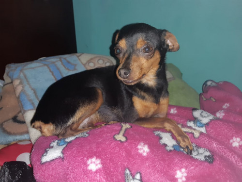 Lupita