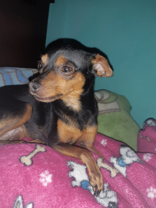 Lupita