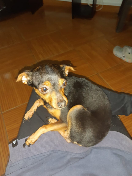 Lupita