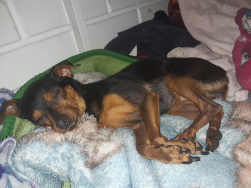 Lupita
