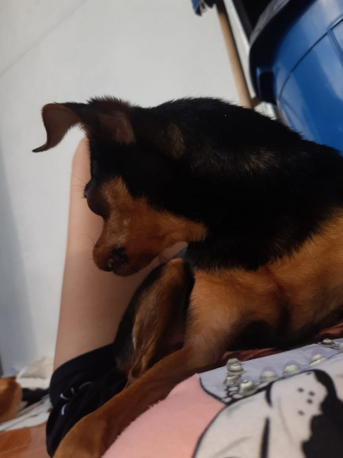 Lupita