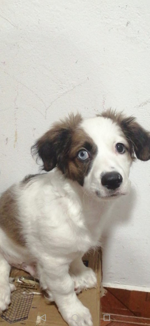 Tobby
