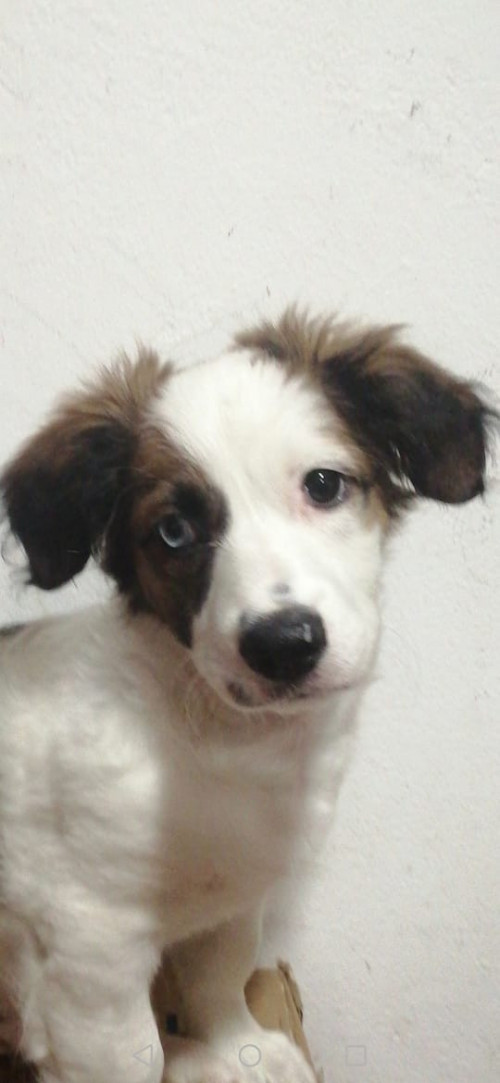 Tobby