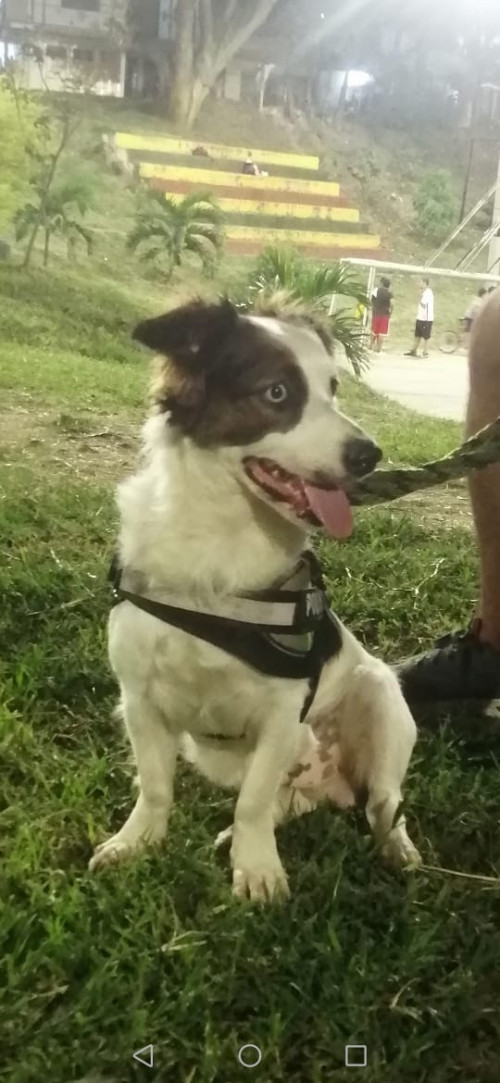 Tobby