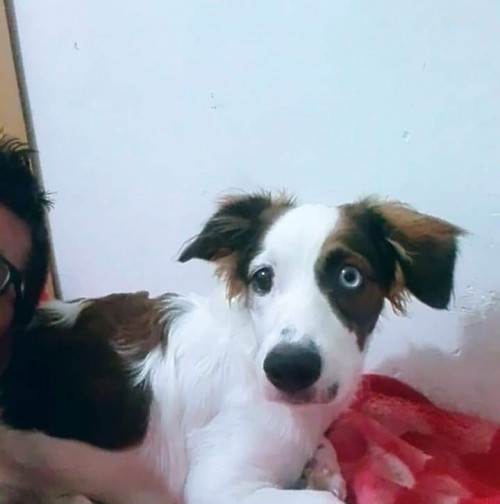 Tobby