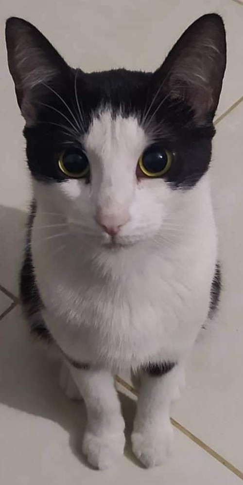 Luna