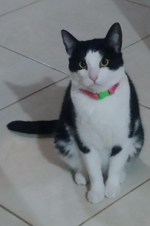 Luna