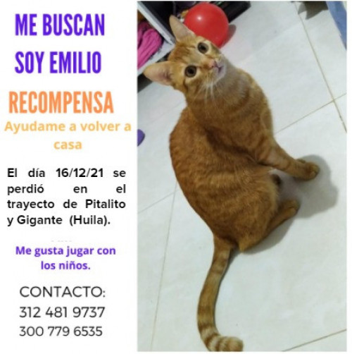 Emilio