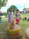 Foto de Emilio en Pitalito Huila #5