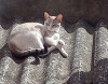 Foto de Lilu en  Bogotá #2