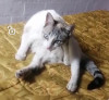 Foto de Lilu en  Bogotá #0
