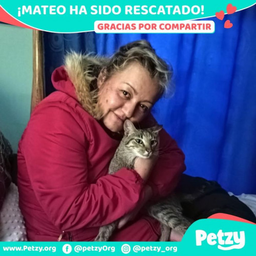 Foto de mascota Mateo