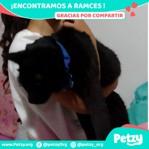 Foto de mascota Ramces 