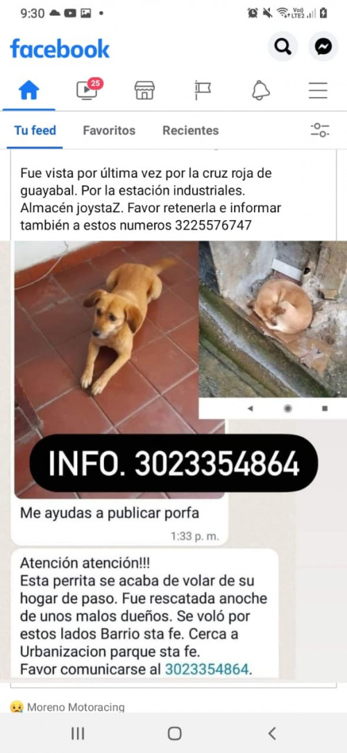 Reciente Rescatada