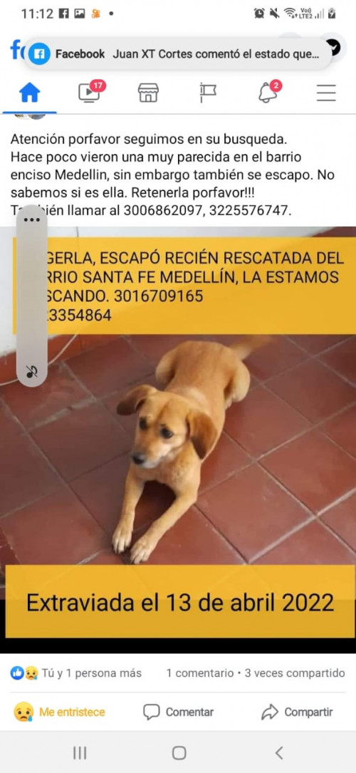 Reciente Rescatada