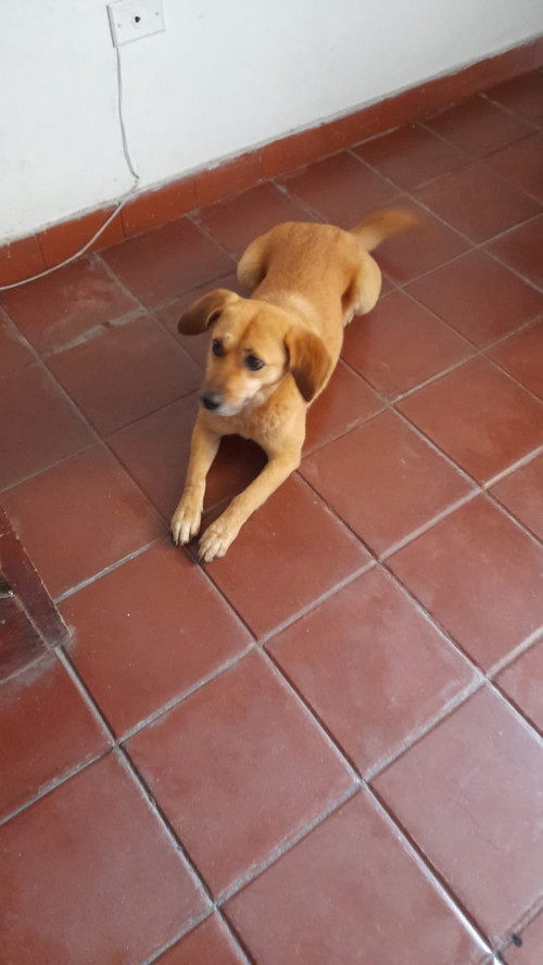 Reciente Rescatada