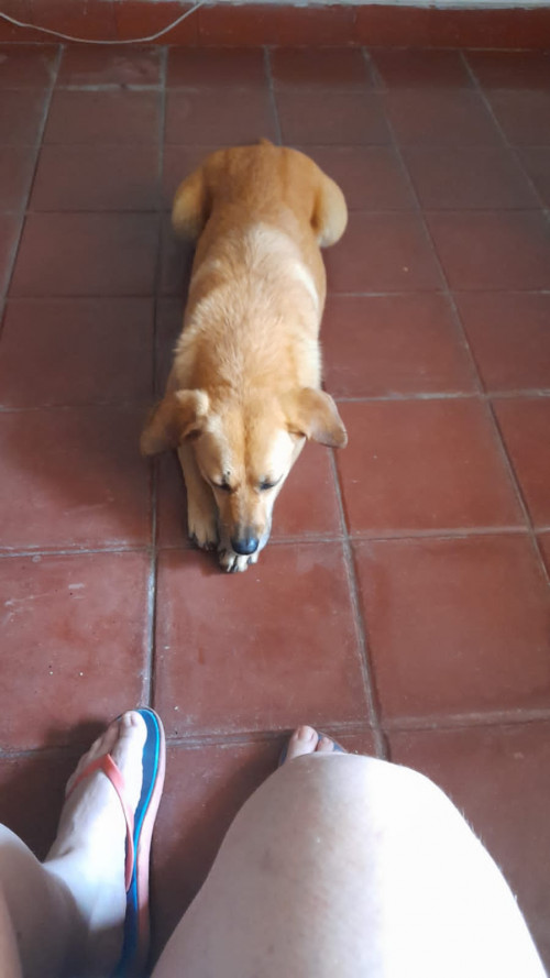 Reciente Rescatada