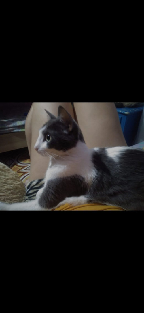 Lily