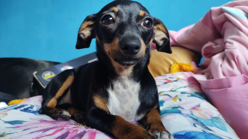 Fiona