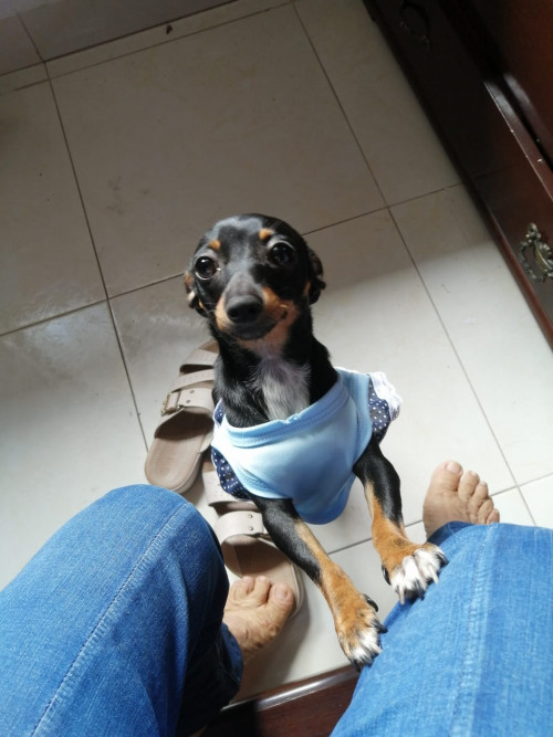Fiona