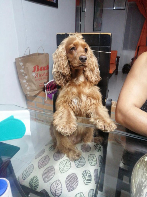 Juanita Y Lolita 