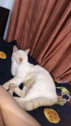 Foto de Fiona  en Cali Valle del Cauca #25