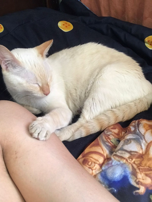 Fiona 
