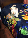 Foto de Fiona  en Cali Valle del Cauca #21