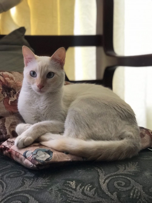 Fiona 