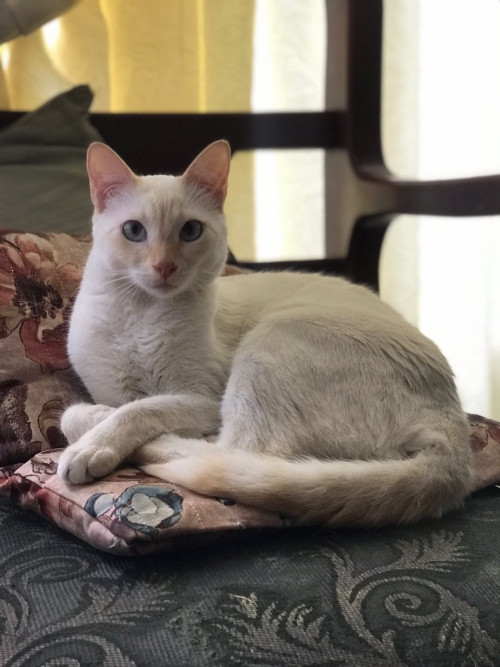 Fiona 