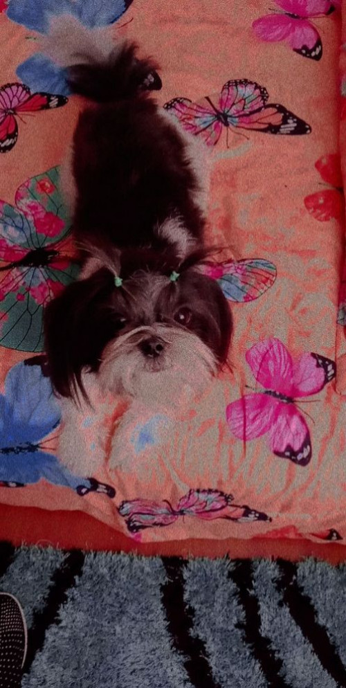 Lupita