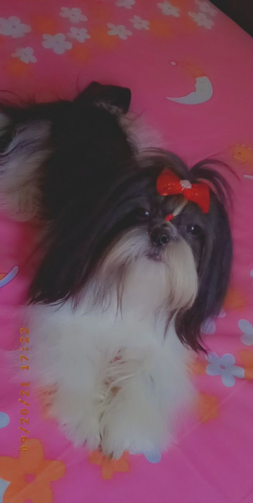 Lupita